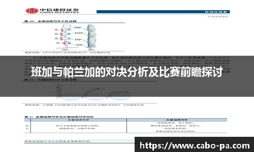 /news/90.html